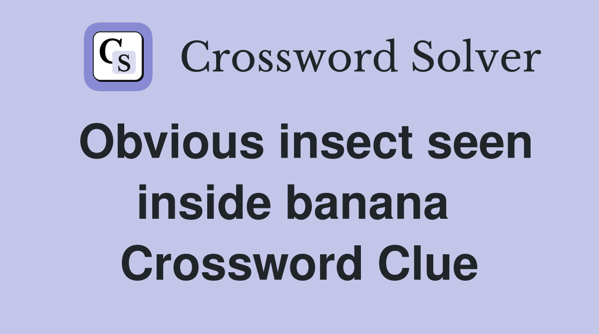 Obvious insect seen inside banana  Crossword Clue