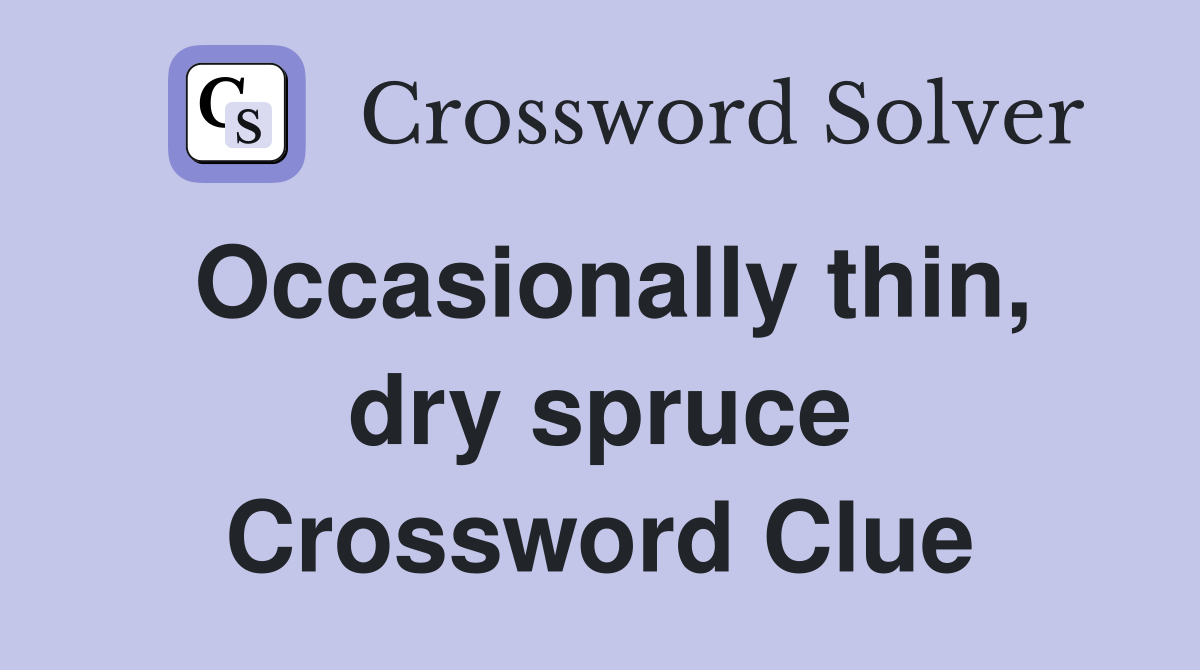 Occasionally thin, dry spruce Crossword Clue