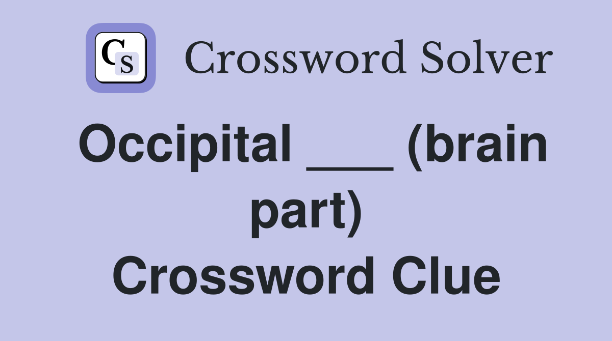 Occipital ___ (brain part) Crossword Clue
