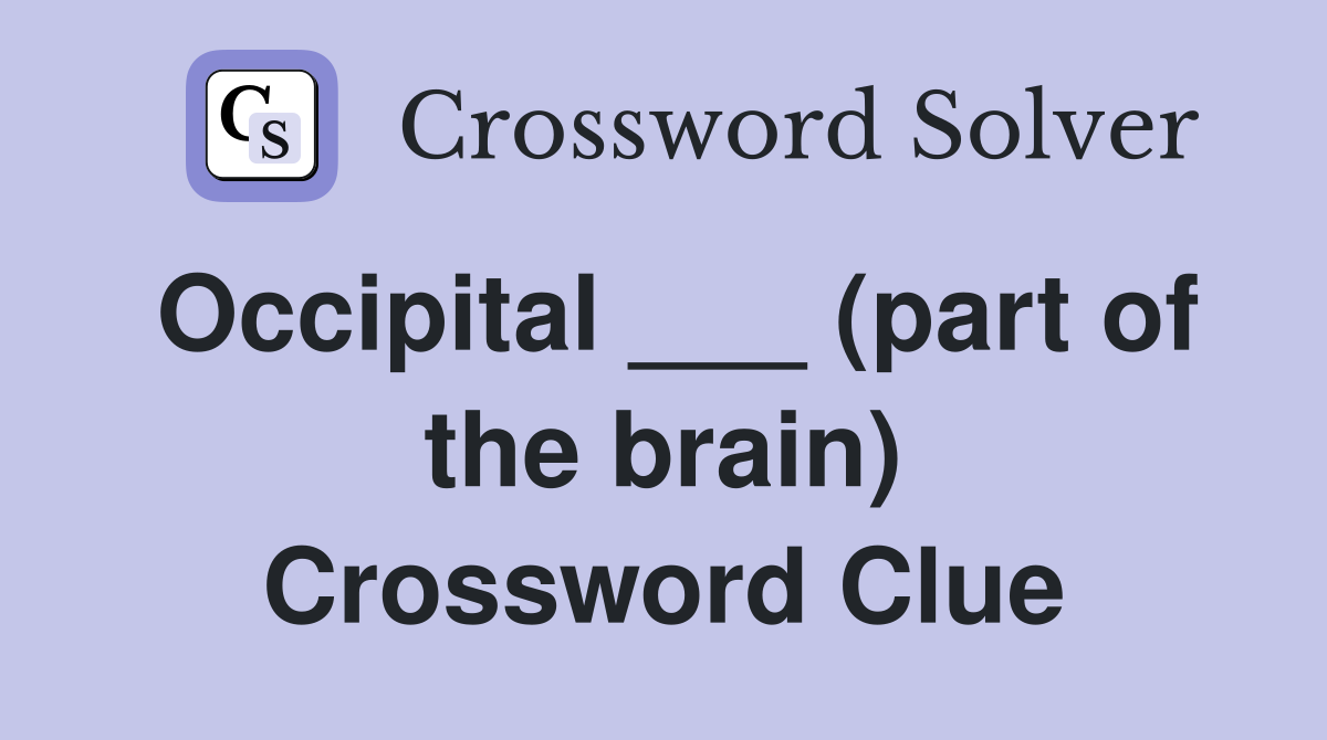Occipital ___ (part of the brain) Crossword Clue