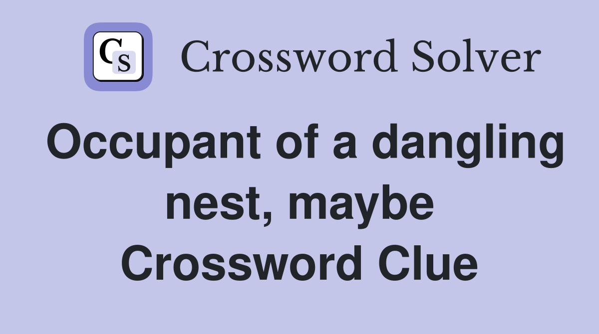 Occupant of a dangling nest, maybe Crossword Clue