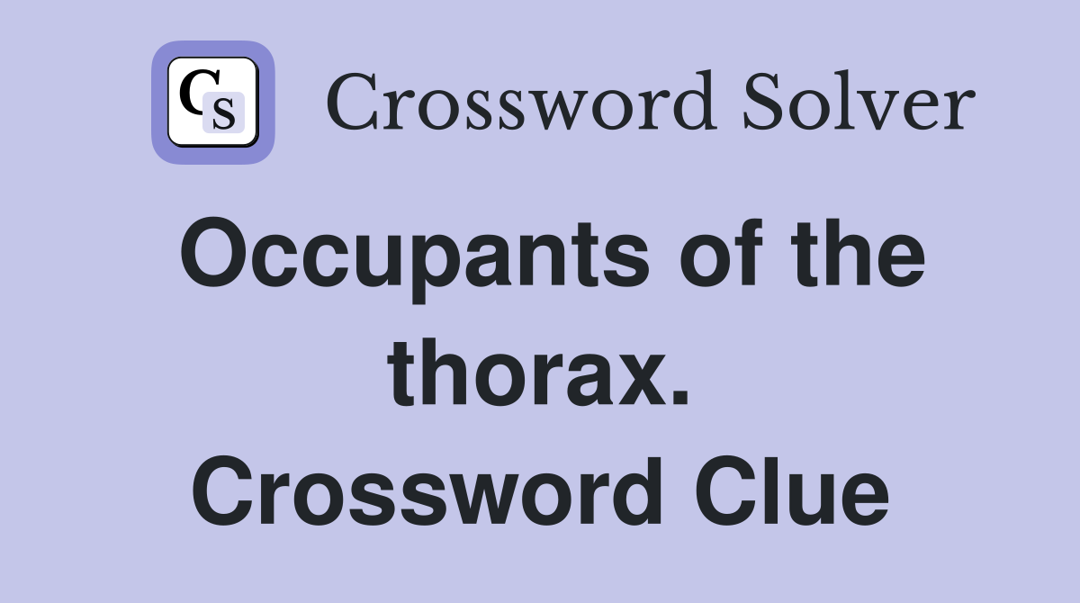 Occupants of the thorax. Crossword Clue