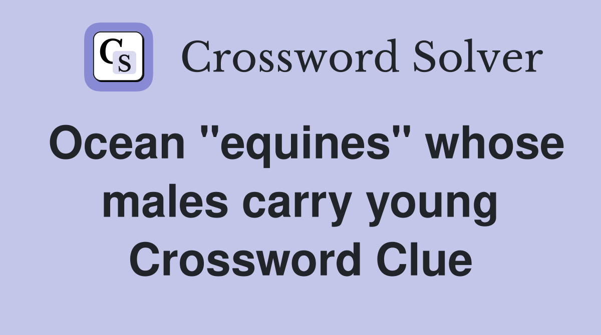 Ocean "equines" whose males carry young Crossword Clue