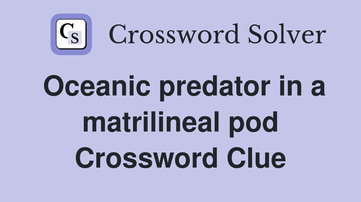 Oceanic predator in a matrilineal pod Crossword Clue