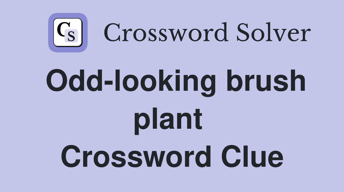 Odd-looking brush plant  Crossword Clue