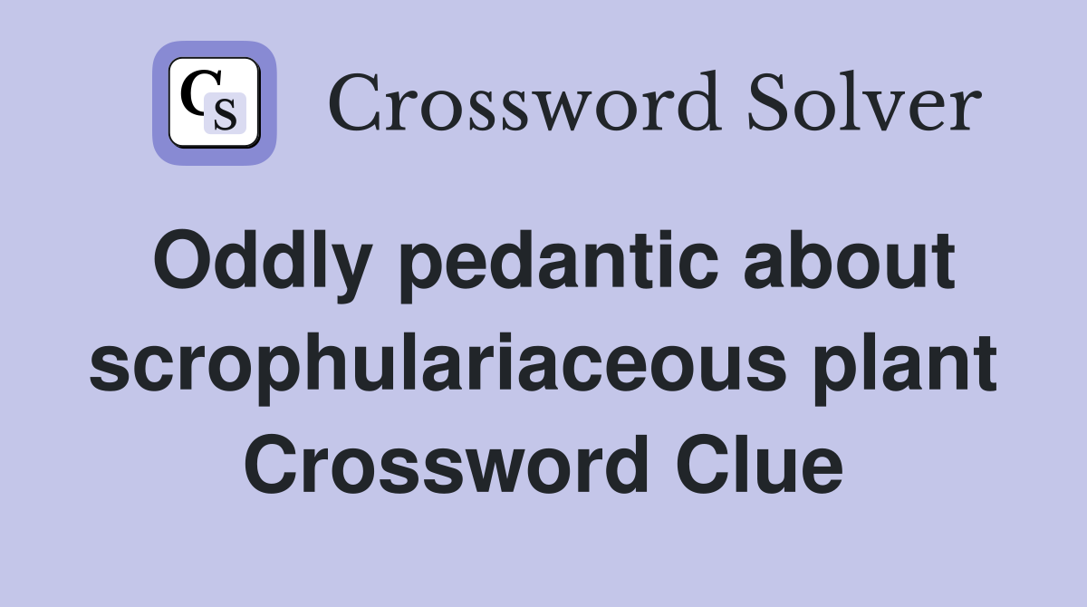 Oddly pedantic about scrophulariaceous plant Crossword Clue