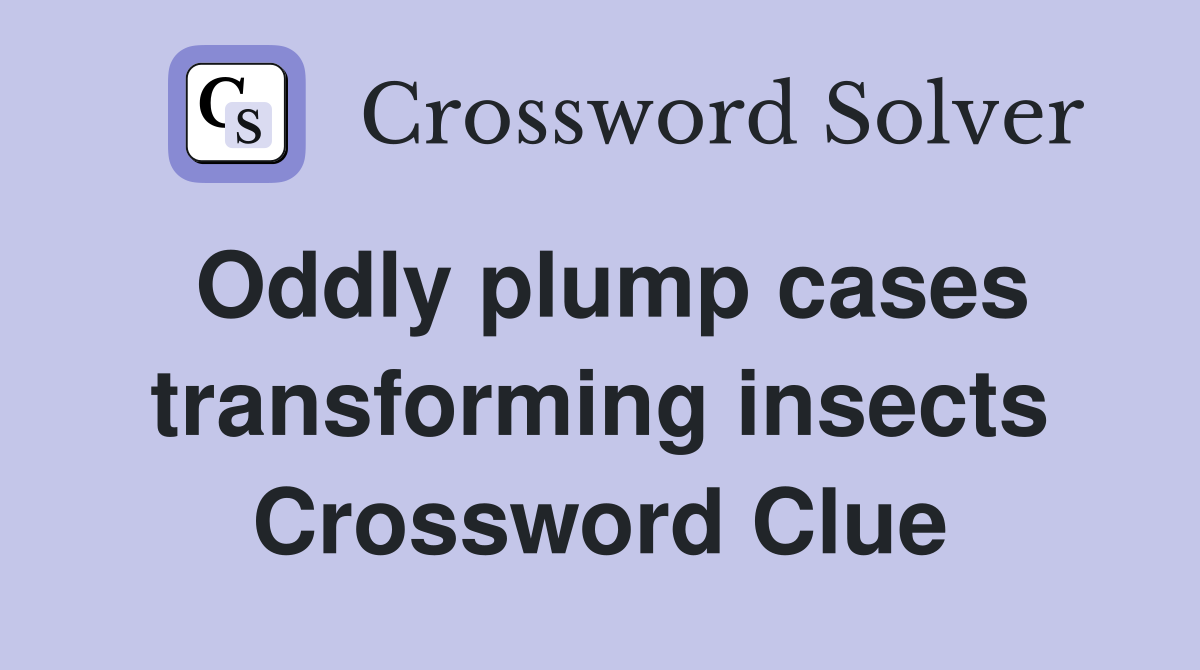 Oddly plump cases transforming insects Crossword Clue