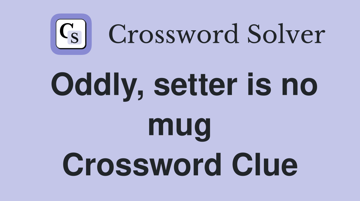 Oddly, setter is no mug Crossword Clue