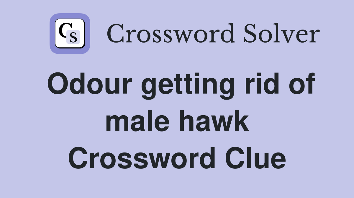 Odour getting rid of male hawk Crossword Clue