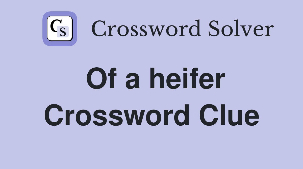 Of a heifer Crossword Clue