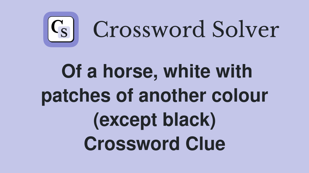 Of a horse, white with patches of another colour (except black) Crossword Clue
