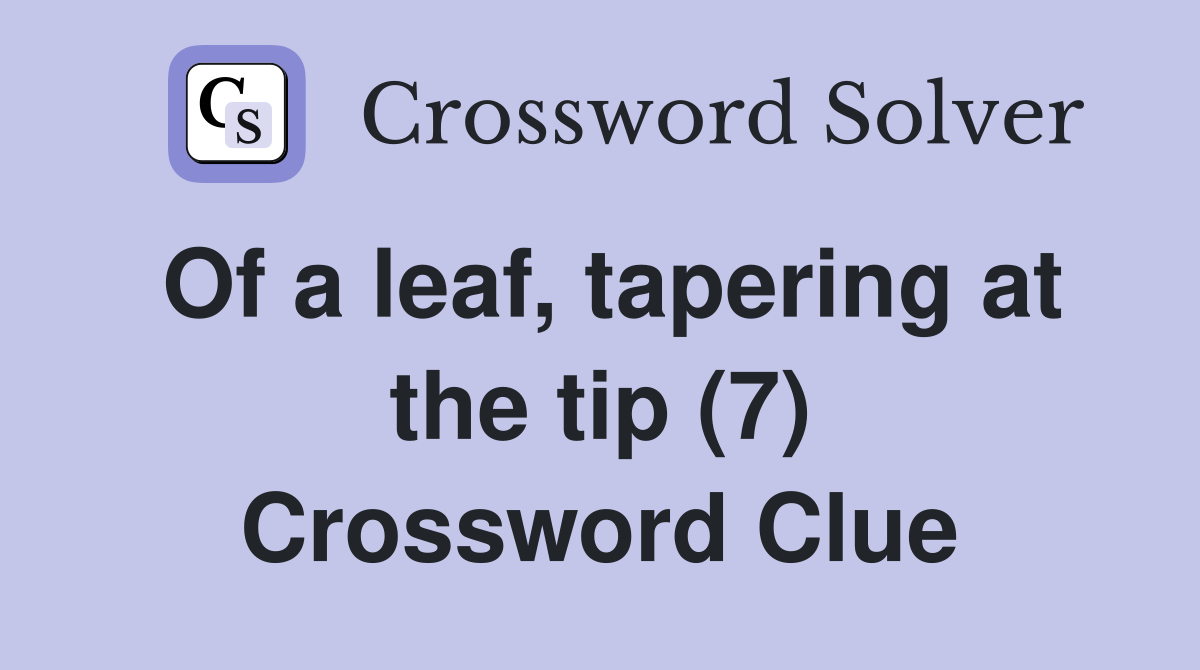 Of a leaf, tapering at the tip (7) Crossword Clue