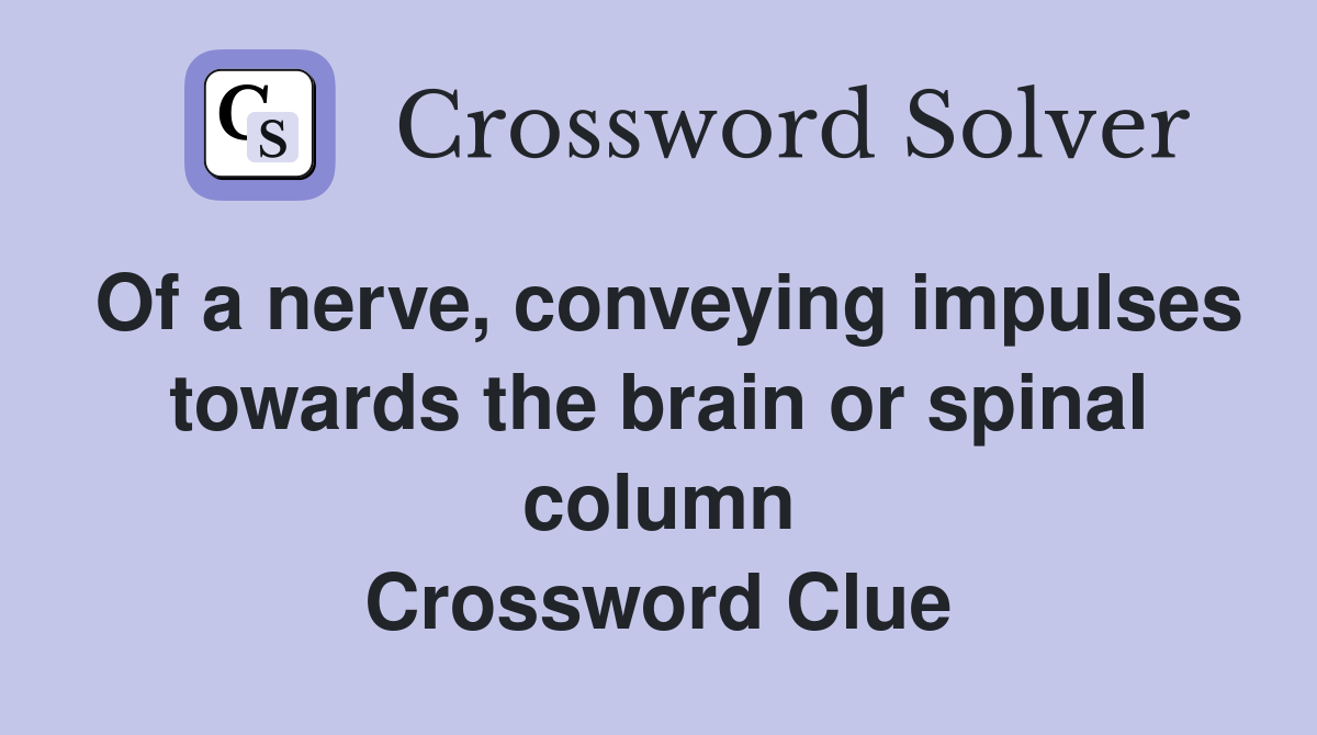 Of a nerve, conveying impulses towards the brain or spinal column Crossword Clue