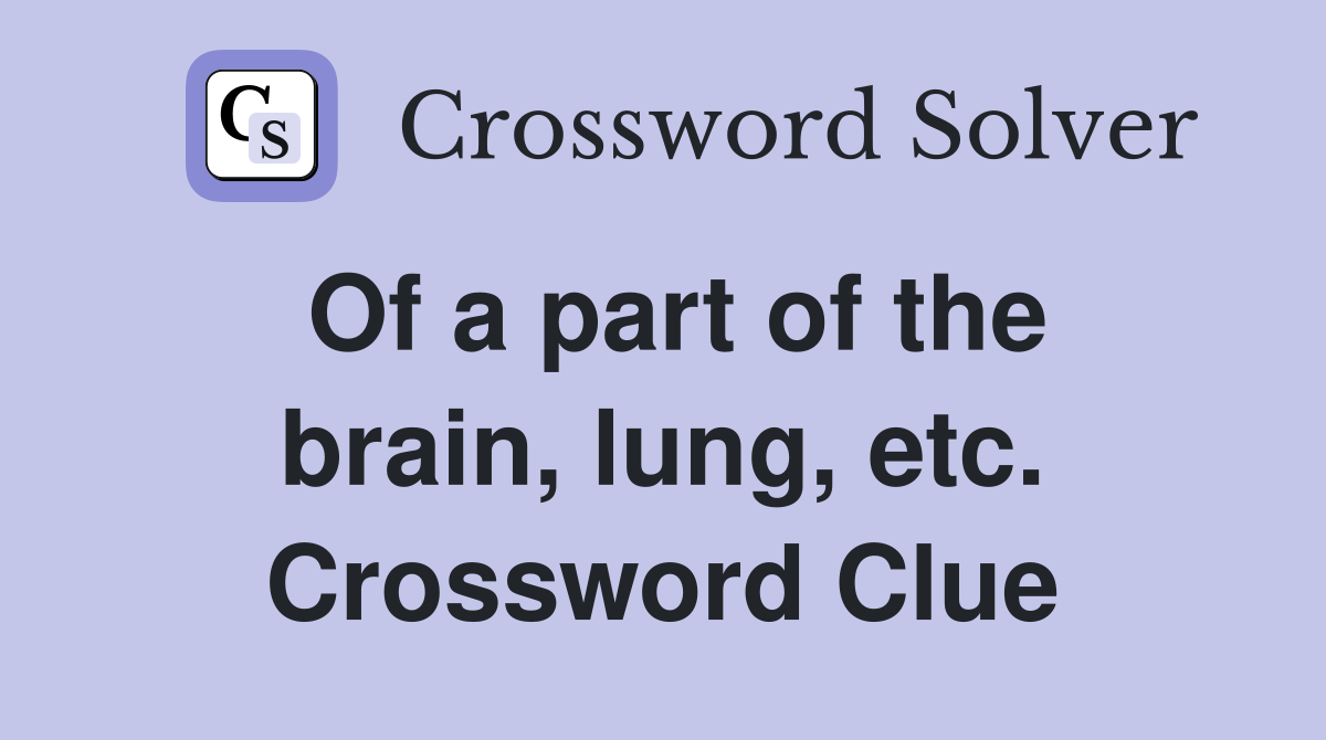 Of a part of the brain, lung, etc. Crossword Clue