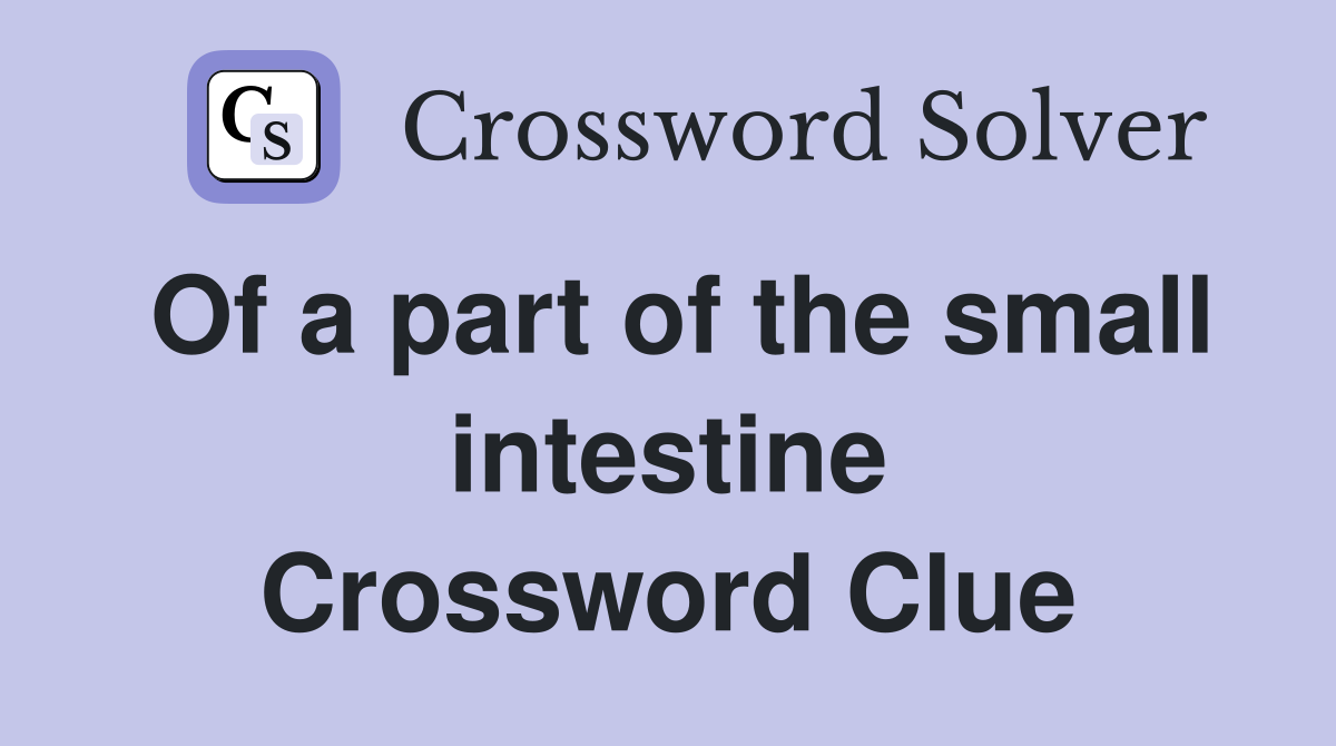 Of a part of the small intestine Crossword Clue