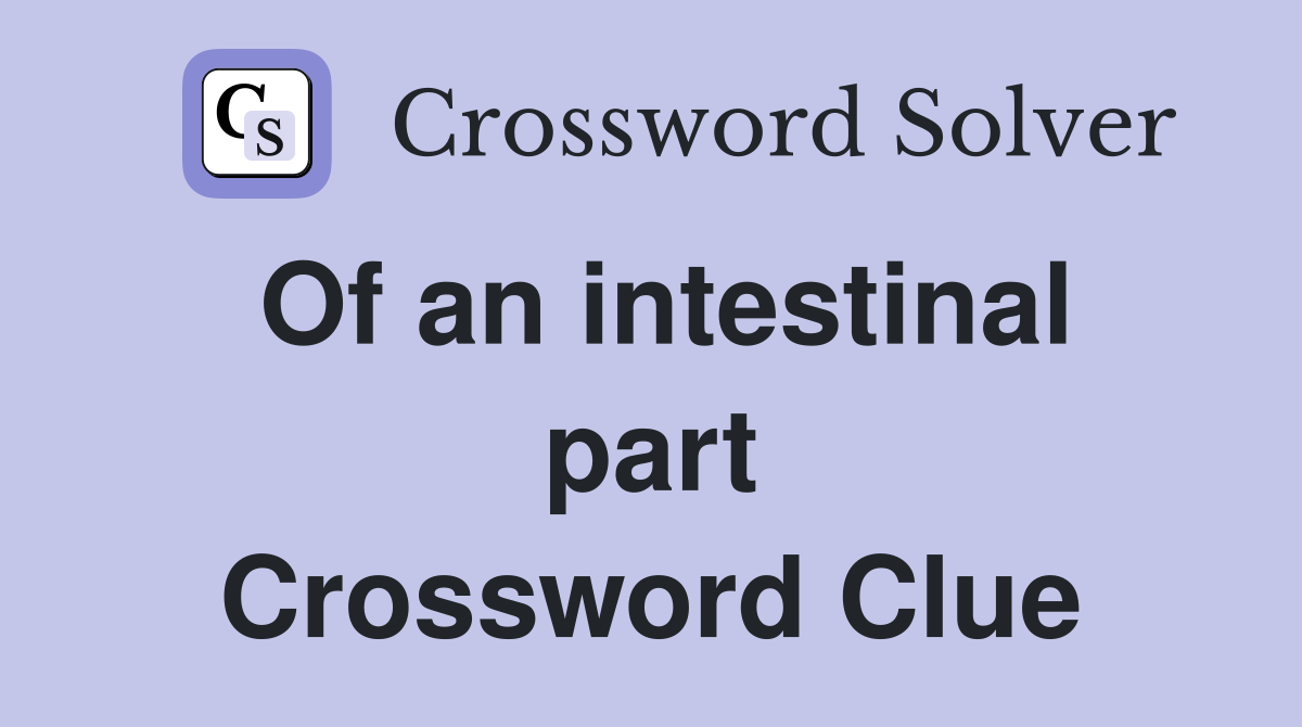 Of an intestinal part Crossword Clue