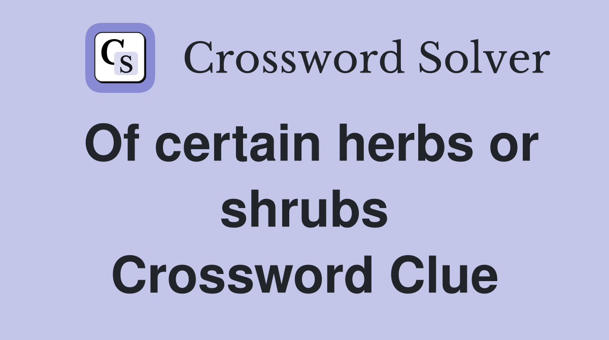 Of certain herbs or shrubs Crossword Clue
