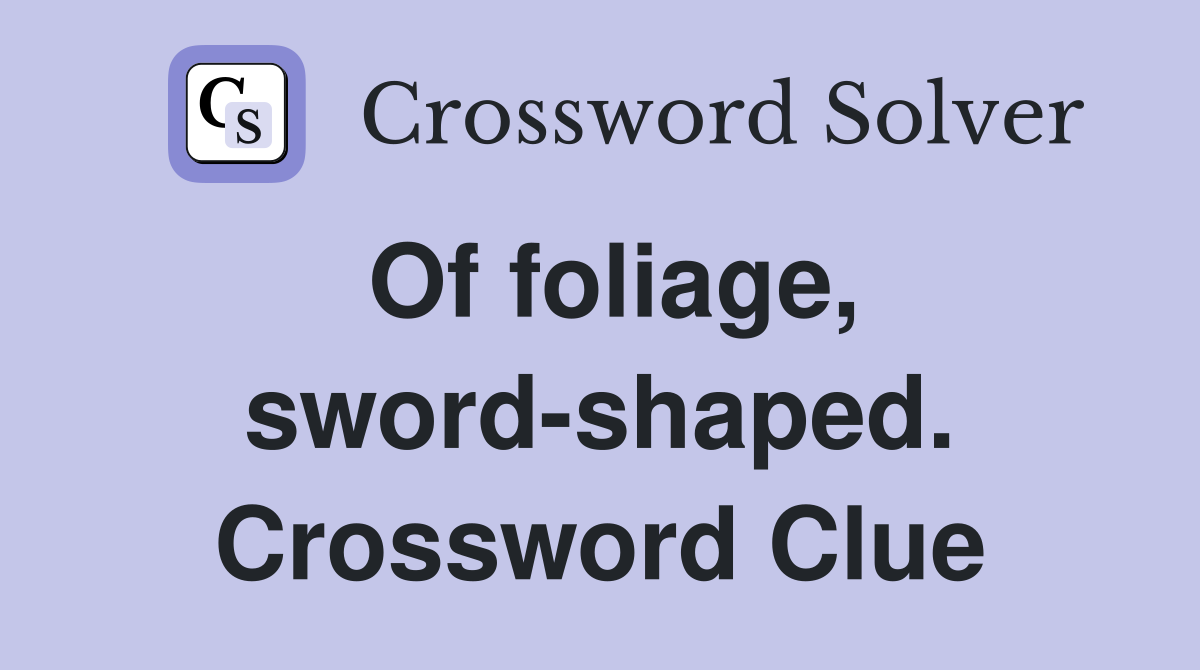 Of foliage, sword-shaped. Crossword Clue