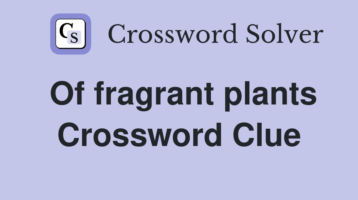 Of fragrant plants Crossword Clue