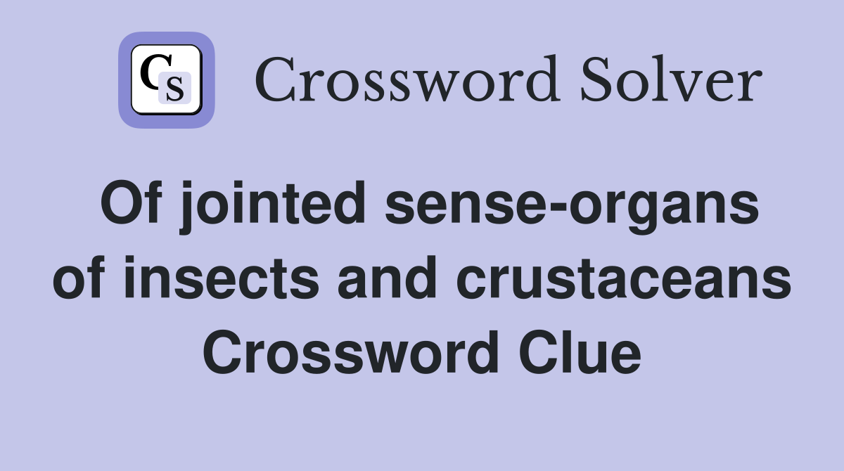 Of jointed sense-organs of insects and crustaceans Crossword Clue