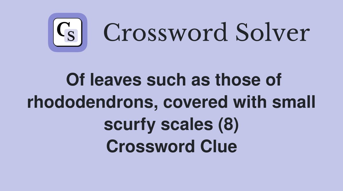 Of leaves such as those of rhododendrons, covered with small scurfy scales (8) Crossword Clue