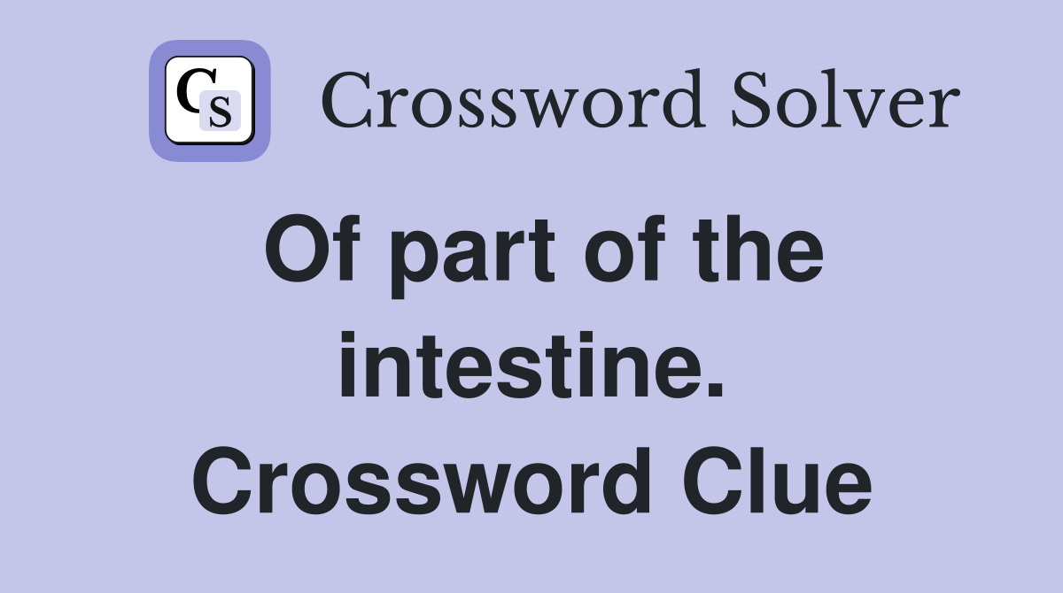 Of part of the intestine. Crossword Clue
