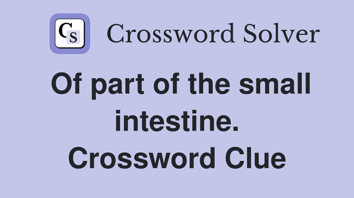 Of part of the small intestine. Crossword Clue