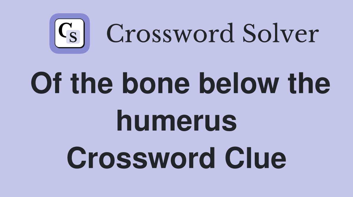 Of the bone below the humerus Crossword Clue