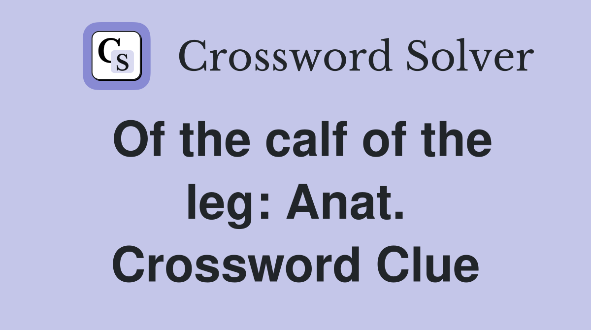 Of the calf of the leg: Anat. Crossword Clue