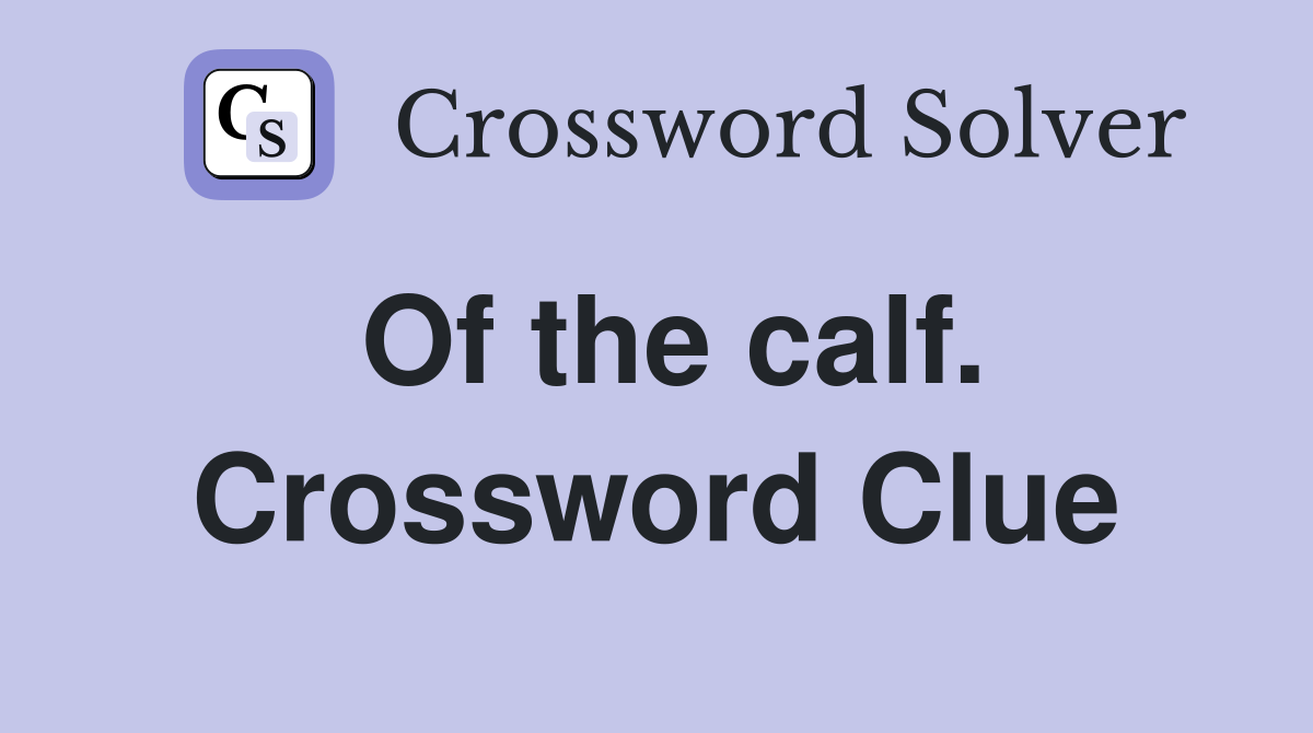 Of the calf. Crossword Clue