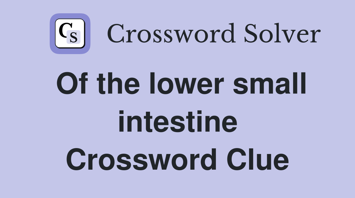 Of the lower small intestine Crossword Clue