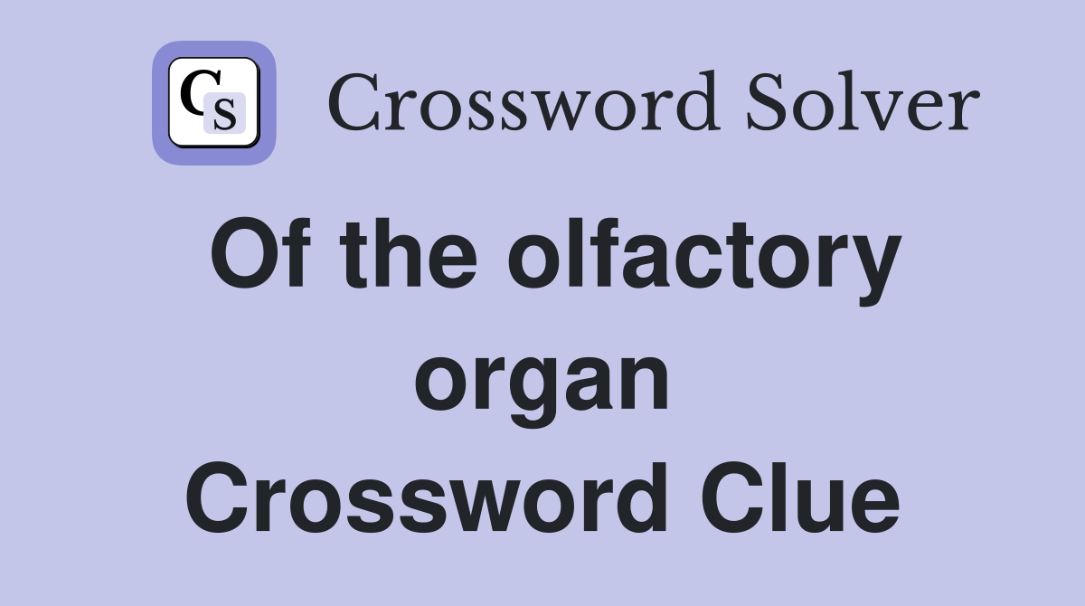 Of the olfactory organ Crossword Clue
