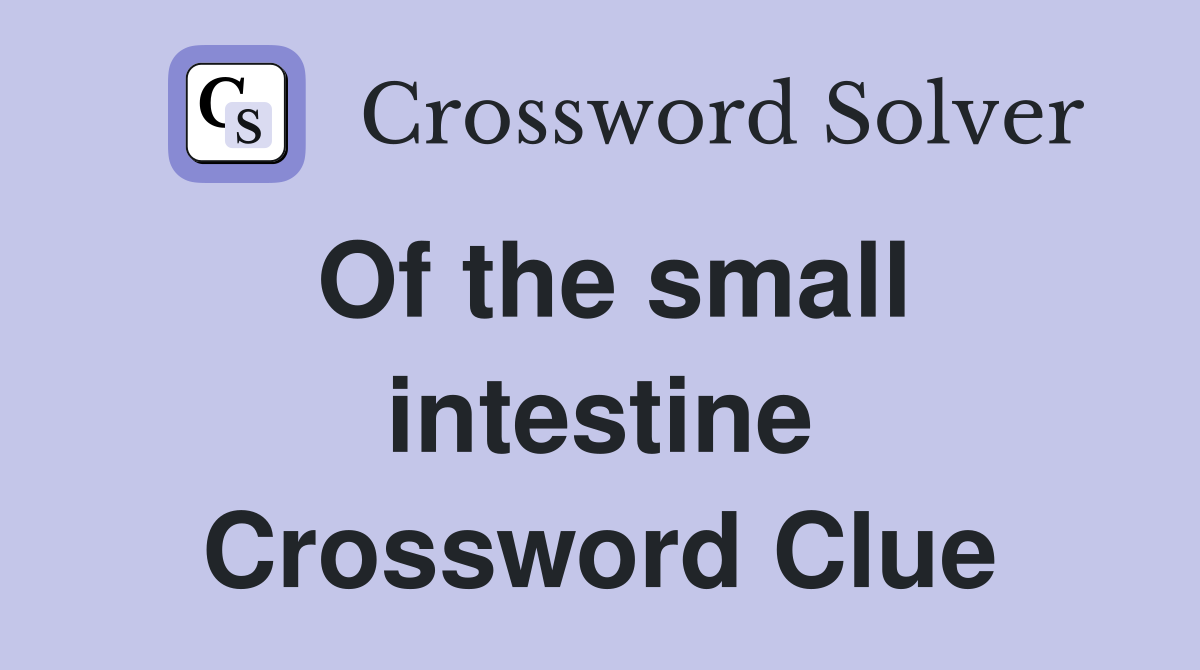 Of the small intestine Crossword Clue
