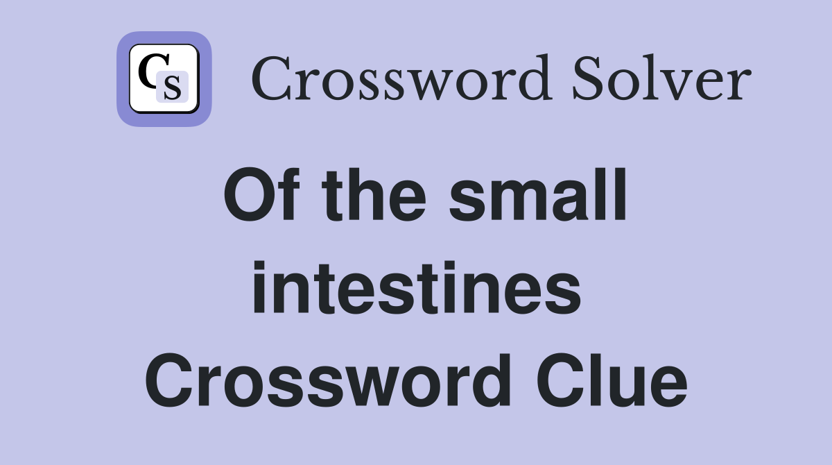 Of the small intestines Crossword Clue