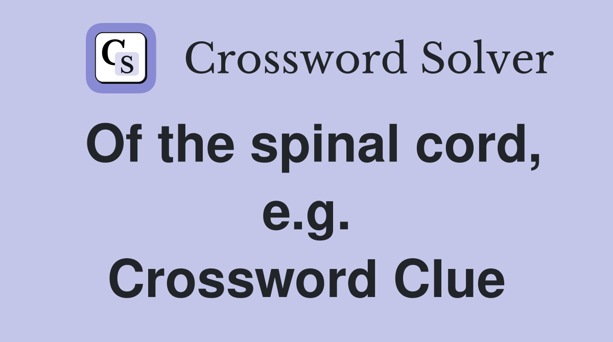 Of the spinal cord, e.g. Crossword Clue