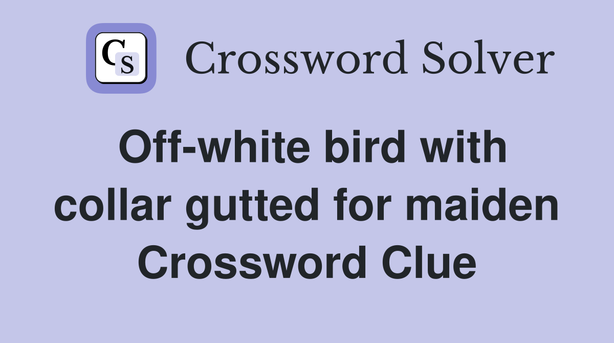 Off-white bird with collar gutted for maiden Crossword Clue