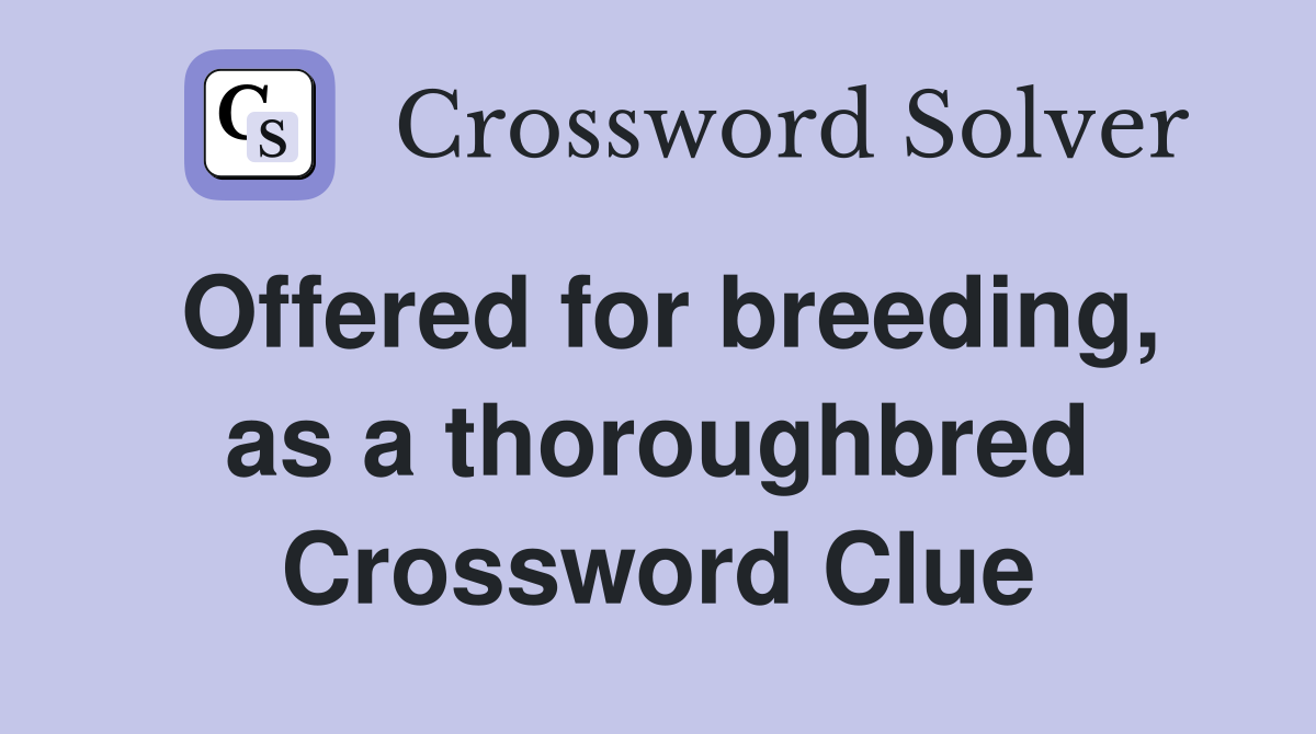 Offered for breeding, as a thoroughbred Crossword Clue