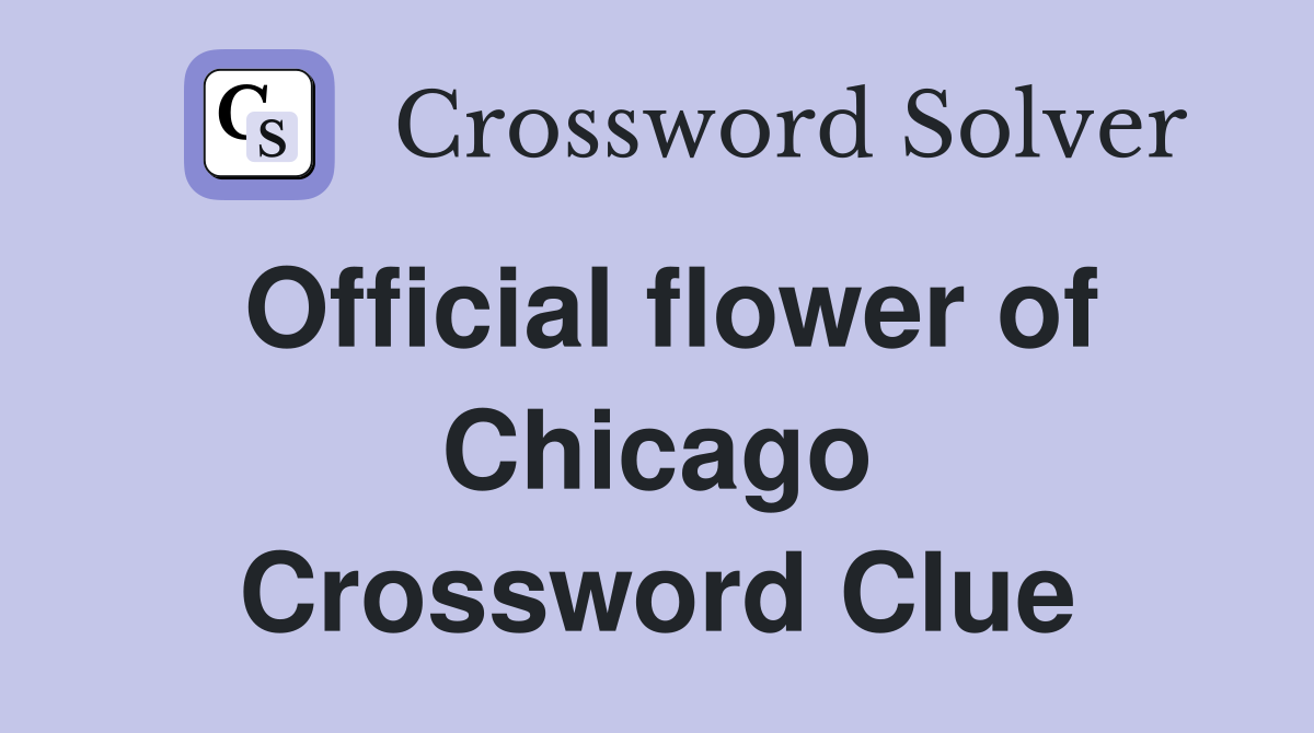 Official flower of Chicago Crossword Clue