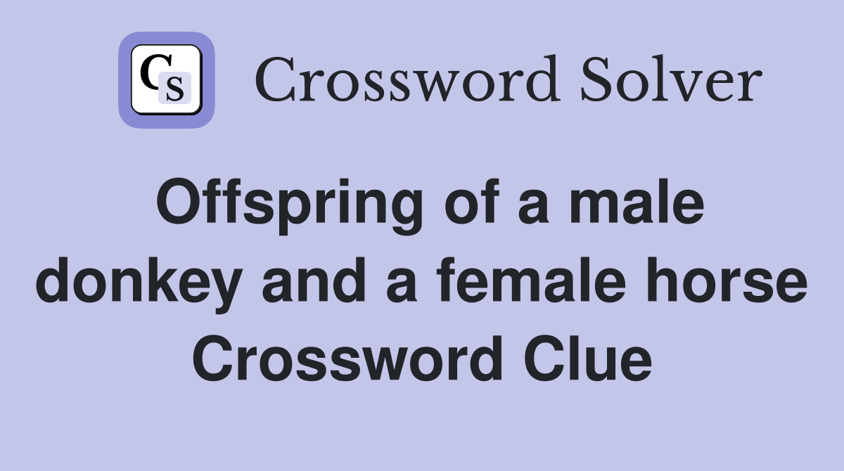 Offspring of a male donkey and a female horse Crossword Clue