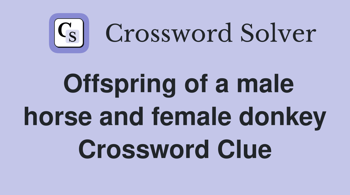 Offspring of a male horse and female donkey Crossword Clue