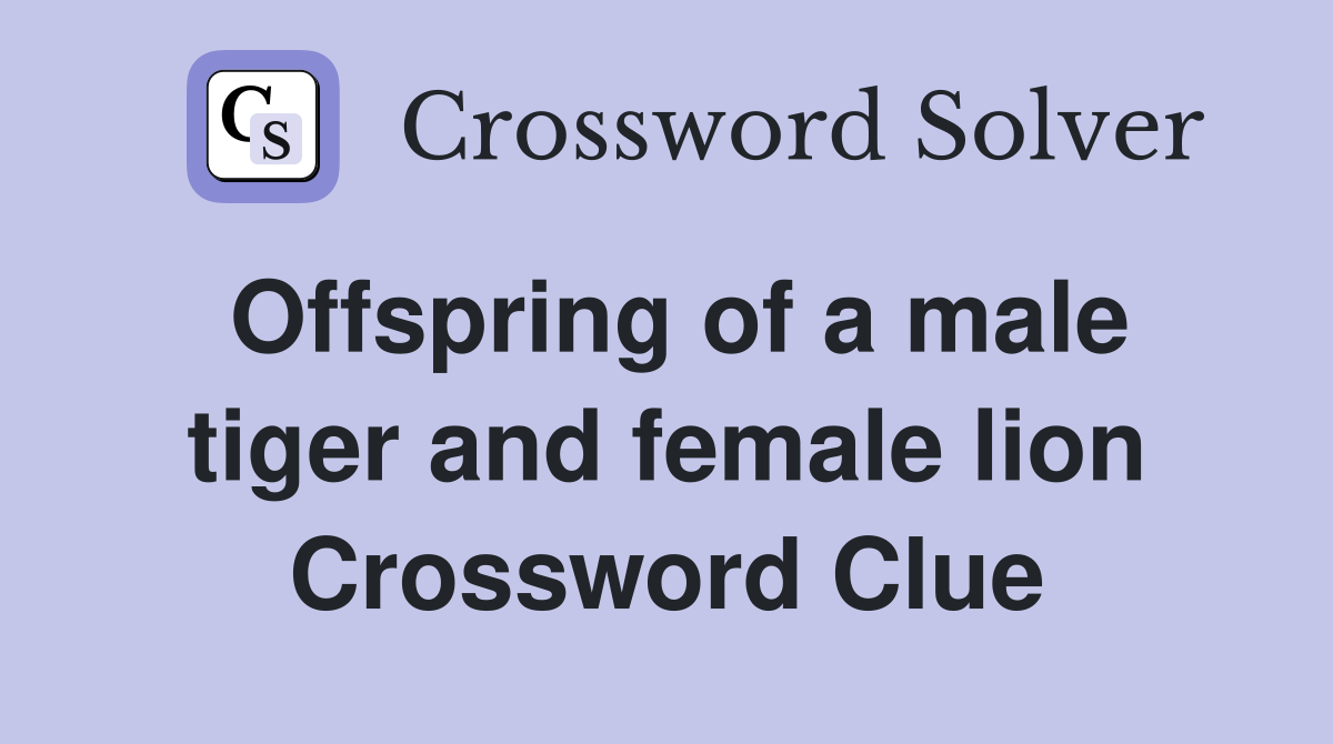 Offspring of a male tiger and female lion Crossword Clue