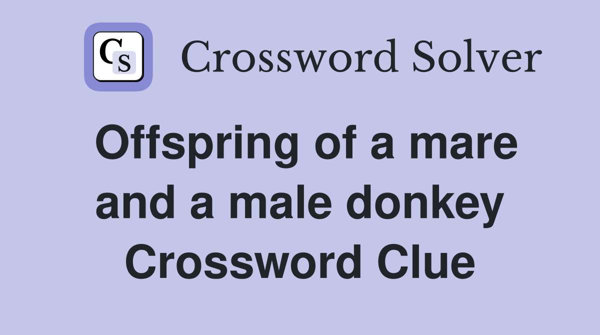 Offspring of a mare and a male donkey Crossword Clue