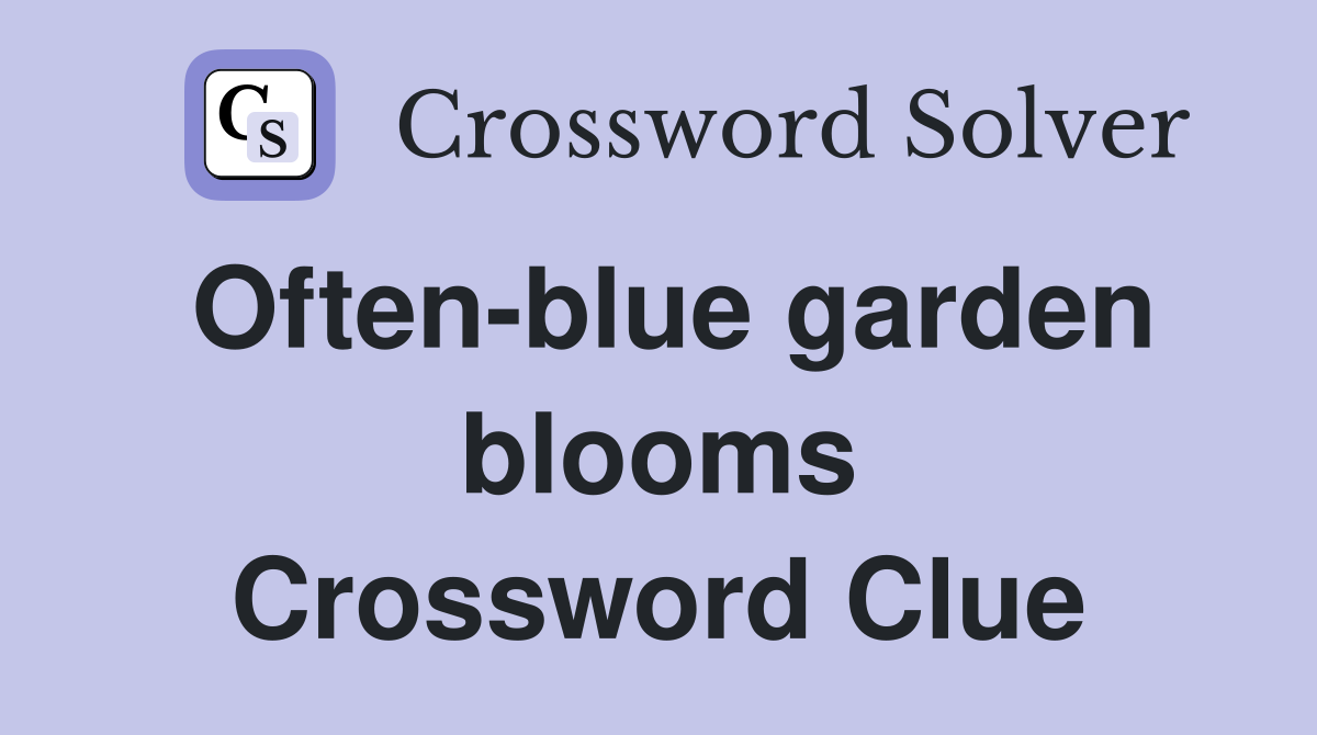 Often-blue garden blooms Crossword Clue