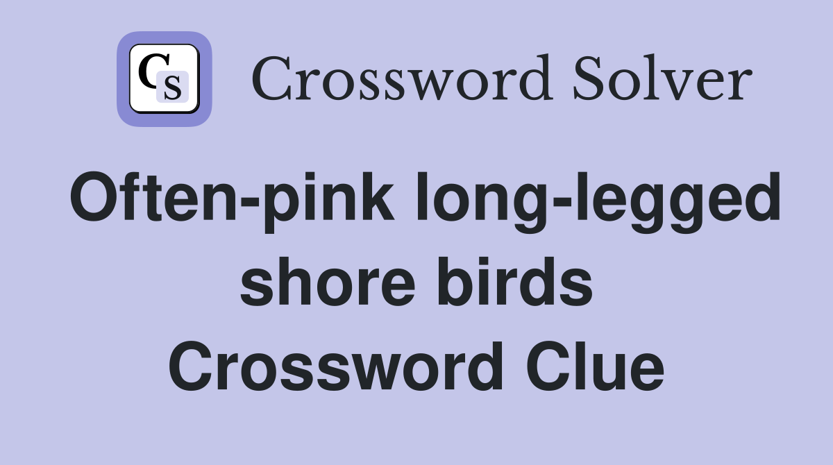 Often-pink long-legged shore birds Crossword Clue