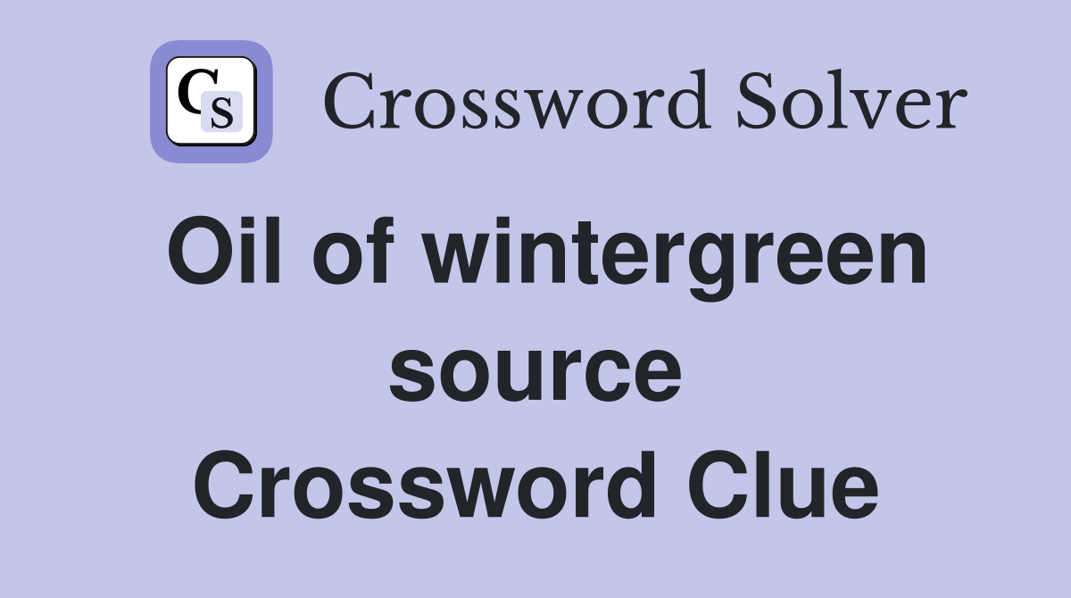 Oil of wintergreen source Crossword Clue