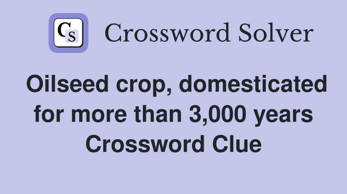 Oilseed crop, domesticated for more than 3,000 years Crossword Clue