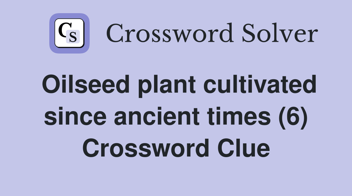 Oilseed plant cultivated since ancient times (6) Crossword Clue