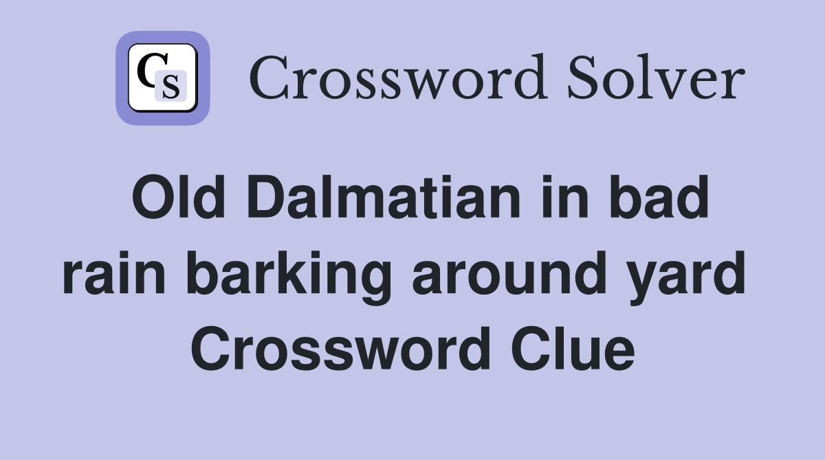 Old Dalmatian in bad rain barking around yard  Crossword Clue