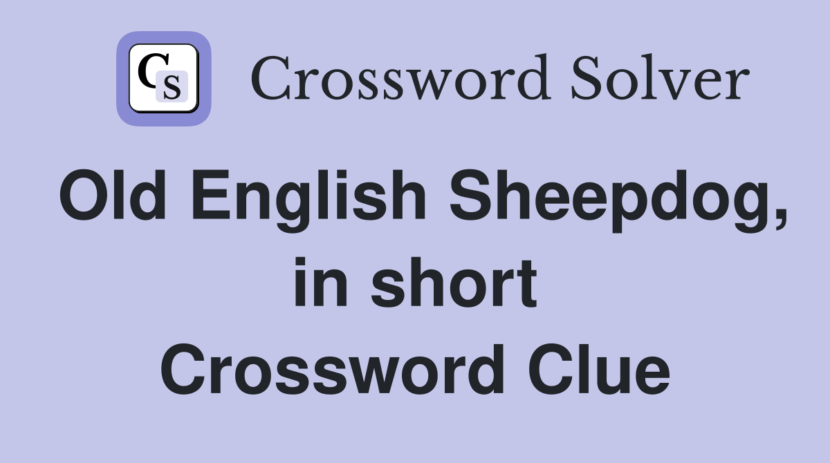 Old English Sheepdog, in short Crossword Clue