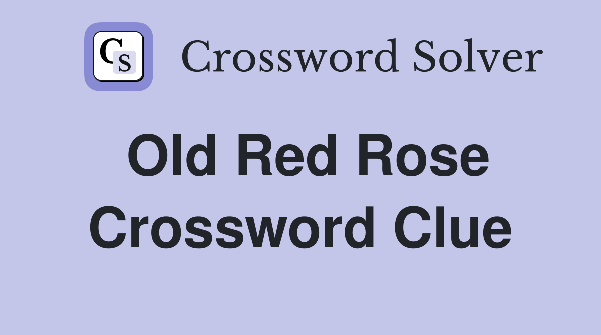 Old Red Rose Crossword Clue